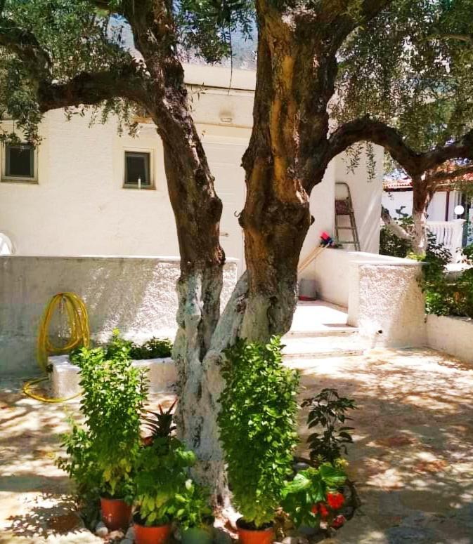 Billy'S Amoudi Apartments Zewnętrze zdjęcie